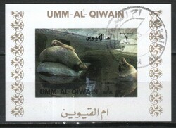 Fish and aquatic organisms 0008 (umm-al qiwain)