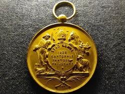 Canton horse race 1928 commemorative medallion (id79188)