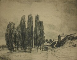Beron Gyula (1885-1971) : Kiserdő