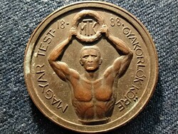 Circle of Hungarian physical exercisers - courage trust friendship bronze commemorative medal (id79275)