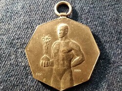Hungarian dir. Sports Association of Postal Savings Bank Officials 1903 medallion (id79285)