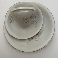 3-piece Bavarian porcelain, 2 colored painted plates and a sugar bowl