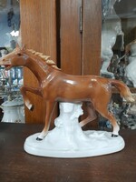 Alt Német,Germany Fasold & Stauch Bock Wallendorf 1935-1949,Csikó,Ló Porcelán Figura.24 cm.
