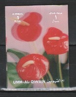 Umm al-qiwain 0050 1.00 dimensional