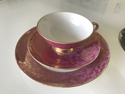 Antique Austrian porcelain breakfast set in two colors eigl porcelain