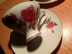 Bareuther Waldsassing Bavaria rózsás kávés csésze és alj, aranyozott, Birkenstein képpel