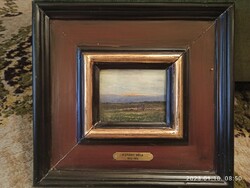 K.Spányi Béla olaj, karton 10x12cm