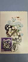 Postcard, butterflies, 1974. Xi. II. Budapest, checkerboard butterfly, with 60 f stamp.
