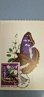 Postcard, butterflies, 1974. Xi. II. Budapest, large performing butterfly, with 5 ft stamp.