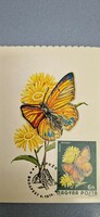 Postcard, butterflies, 1974. Xi. II. Budapest, mountain firefly, with a 6 ft stamp.