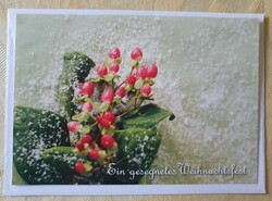 Karácsonyi és újévi képeslap borítékkal postatiszta üdvözlőlap üdvözlőkártya levelezőlap csipkebogyó