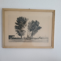 Etching in frame, signed. (56X42)