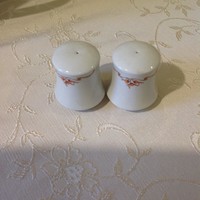 Alföldi porcelain with rosehip pattern - 2 spice shakers
