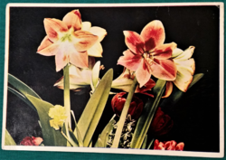 Floral postcard, ran