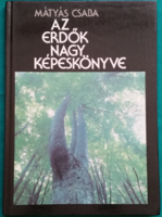 Dr. Mátyás Csaba: Az erdők nagy képeskönyve - Természettudomány > Növényvilág