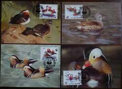 1987. North Korea - mandarin ducks stamp series on 4 postcards (cm)