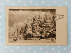 Régi képeslap újévi levelezőlap őzike havas táj