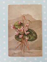 Old postcard with floral postcard on cyclamen