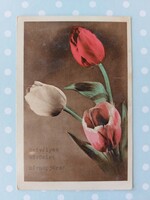 Old postcard 1950 floral postcard tulip