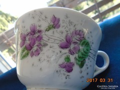 Antique Viennese Bidermeyer, imposing, violet, relief pattern, thick village hand-numbered tea cup