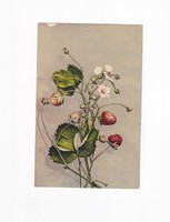 Üdvözlő képeslap csendélet CS:04 "Étel-ital-Gyümölcs", postatiszta, hiba fotózva
