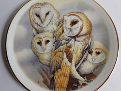 English bird plate - barn owl family 22 cm