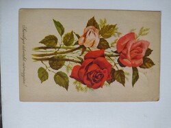 Rózsa névnapi köszönto képeslap