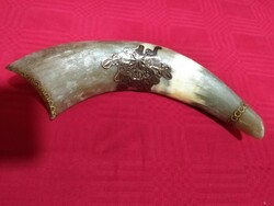 Horn with acorn pattern, length 28 cm