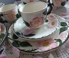 Villeroy&boch wild rose 1 breakfast set, cup and small plate