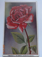 Régi grafikus virágos üdvözlő képeslap - rózsaszál