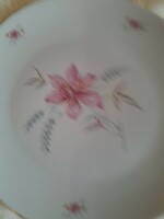 Drasche  tányér 24 cm