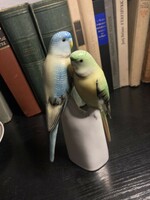 Papagáj pár Holloházi porcelán