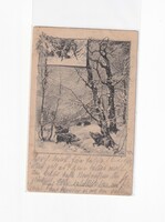 K:109 BÚÉK - Újév antik  képeslap (Vadisznók)