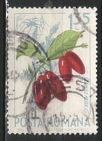 Virág, gyümölcs 0158    0,30 Euró