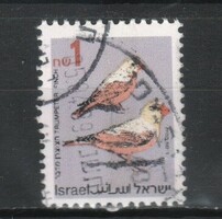 Birds 0058