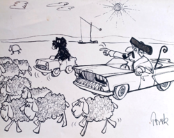 Török Lajos karikatúra, humoros illusztráció (tollrajz) pásztor, kutya, bárányok - Magyar Hírlap