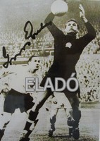 Aranycsapat Grosics Gyula dedikált aláírt fénykép a legendás angol-magyarról 6:3. futball labda foci