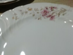 Antik jelzett tányérok párban2. . A képeken látható állapotban van
