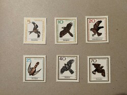 Germany, GDR fauna, birds of prey 1965