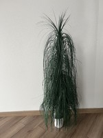 Green artificial flower palm or grass home decoration