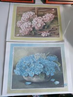 2 db -rózsaszín és kék hortenzia virágot ábrázoló nyomat kép