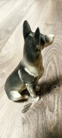 Metzler & Ortloff porcelán figura német juhász 12cm
