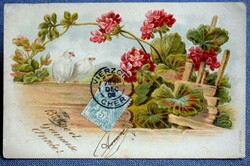 Antik dombornyomott üdvözlő képeslap - galambok , muskátli  1905ből