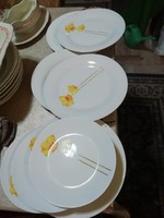 Porcelán tányérok sárga virágokkal . A képeken látható állapotban van