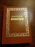 Kaposvár miniature minibook