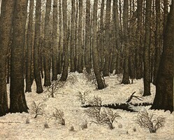 Magda Wágnerné bukovics, work of a naive painter, winter forest, oil, canvas, 65x80 cm