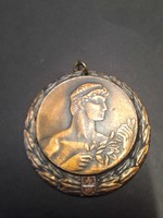 Retro bronze bp.1971 Athletics Championship merit medal.