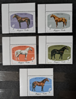 Horses stamps curved corner b/4/12