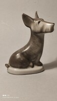 Drasche porcelán terrier kutya