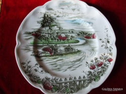Beautiful plate marked with a Johnson brooch, unused, diameter: 23 cm
